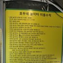 우리집 미미 단골 경기도 애견카페 천연잔디를 깐 호두네놀이터