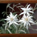 쌍용공인중개사사무소 이미지