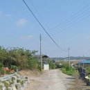 광산구-006 네이버블로그