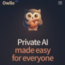 부엉이PC | 누구나 쉽게 사용하는 나만의Private AI <Owllo아울로>🦉 설치 및 사용 후기
