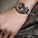 에버로즈 이미지