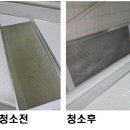 푸른숲청소 이미지