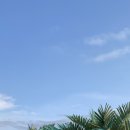 어보브 블루 B 이미지