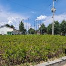 시우리 마을회관 이미지