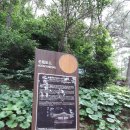 달맞이어울마당 Daum카페