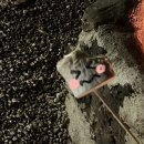 오월향가 이미지