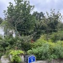 남구-9 | 내돈내산 광주 남구 양과동 카페 무디디 리얼 후기