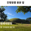 11/15[토무] 역사문화대장정7차(6곳)+경주대릉원+에밀레종+진평왕릉+불국사+장항리절터+감은사터 -산행안내/좌석표 이미지