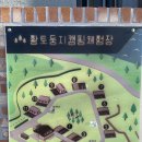 둥지애견 이미지