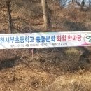 봉현서부초등학교 이미지