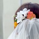 피치헤어 - 안산시 단원구 | 피치헤어