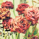 좋은문구 - 수성구 파동로 253 | 좋은문구