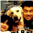 퍼피앤커피 이미지