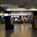 영화 샹치 그 후기와 샹치 영화 포스터