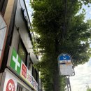 N5헤어룸 본점 | 연산동 미용실 추천 라라헤어 본점 1인 프라이빗룸 CS컬펌 후기