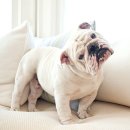 최종원한의원 이미지