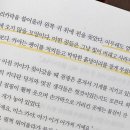 델리아 이미지