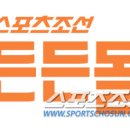 든든몰