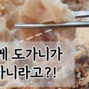 미소곰탕 이미지