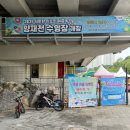 양재천(서초구) | 서초구 양재천 수영장 개장, 무더위 아이와 함께 다녀온 수영장 후기