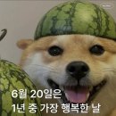 신남 네이버블로그
