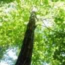 좋은환경 이미지