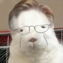 나영메디칼 | 팡 !(부모님 속 터지는 소리)