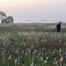 공룡알화석지방문자센터 이미지