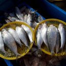 마석5일장 이미지