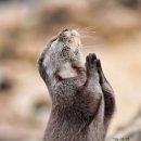 핏다이어트캠프 이미지