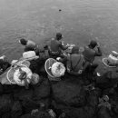 강정동-8 이미지