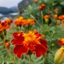 우리가사랑하는세탁소 이미지