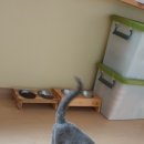 프린스실용음악학원 이미지