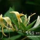 오늘의 바다 이미지