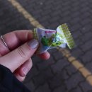 한미 농축 | 안산 초지동 맛집 '흑향' 후기(제주 흑돼지 전문점, 흑돼지 가성비 맛집)