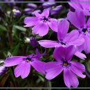 제이그랜드 이미지