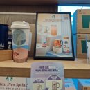 대덕로 | 스타벅스 1월 신메뉴 / 프렌즈 라구 미트볼 샌드위치, 유자 배 캐모마일 티 후기