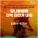 모나마켓