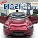 (주)코리아세븐부산하단제일 | 부산 울산 테슬라 신차패키지 모델3 볼텍스 IR 썬팅 PPF