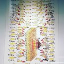 왕조실록의궤박물관 이미지