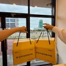 약선및실용떡 | 제주도 오메기떡 맛집 제주 오메기떡 선물 추천 택배