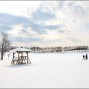 서린농장 이미지