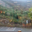 진영유치원 이미지