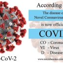 태안읍사무소 이미지