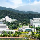 조선대학교 이미지