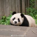 예쁜이모