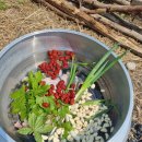 사과꽃필무렵 이미지