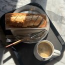 프롬더어스(FROM THE EARTH) 이미지