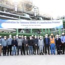 센스(Sense) 이미지