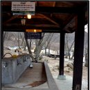 금대리야영장(20100409~10)